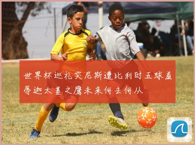 世界杯巡礼突尼斯遭比利时五球羞辱迦太基之鹰未来何去何从