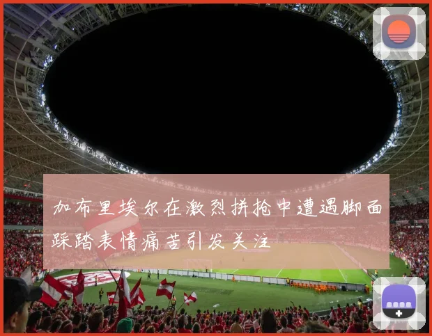 加布里埃尔在激烈拼抢中遭遇脚面踩踏表情痛苦引发关注