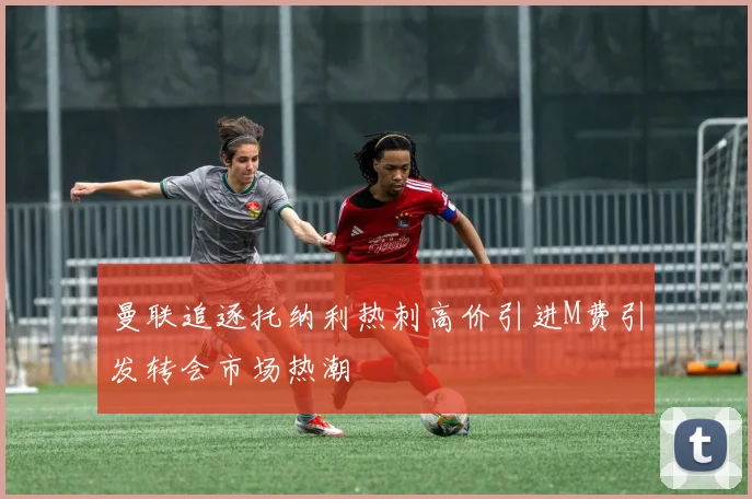 曼联追逐托纳利热刺高价引进M费引发转会市场热潮