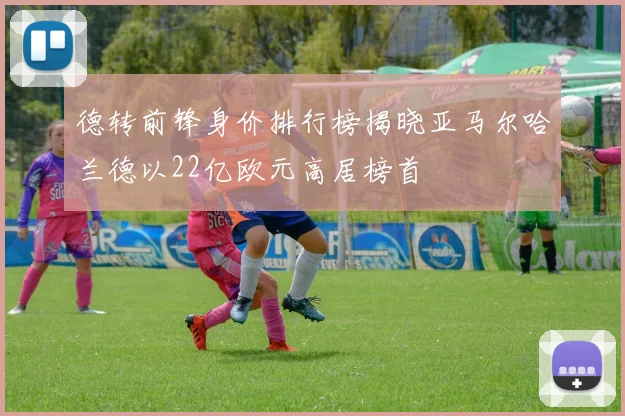 德转前锋身价排行榜揭晓亚马尔哈兰德以22亿欧元高居榜首
